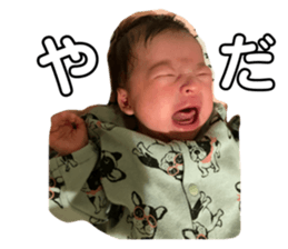 555583581