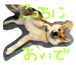 555584331