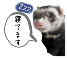 555584769