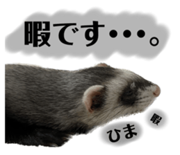 555584770