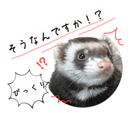 555584791