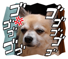 555584967