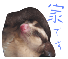 555598446