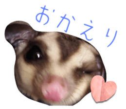 555598455