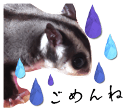 555598459