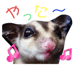 555598461