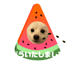 555598756