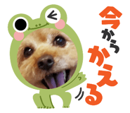555612256