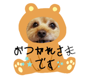 555612257