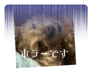 555612259