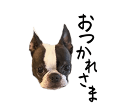 555613016