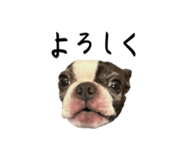 555613017