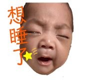 555647055