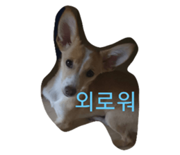 555653752