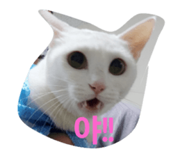 555653757