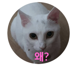 555653763