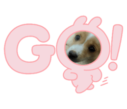 555653770