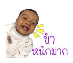 55565543