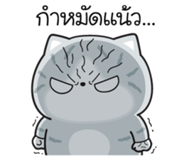 555662561