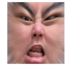 555666855