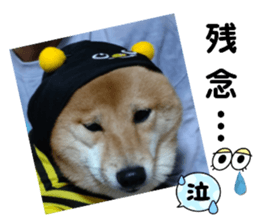 555676751