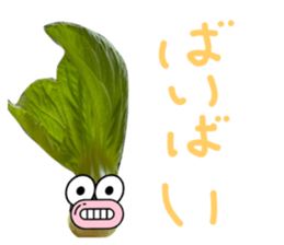 555678084