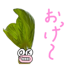 555678089