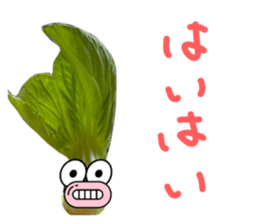 555678095