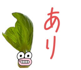 555678104