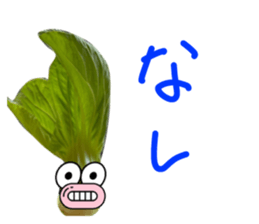 555678105
