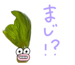 555678107