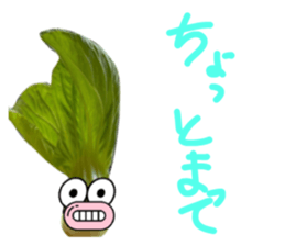 555678114