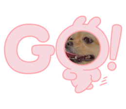 555682192