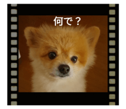 555683693
