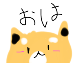 555686404