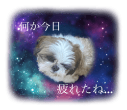 555696064