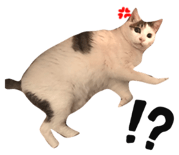 555724337