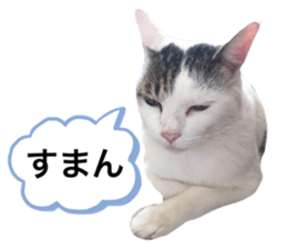 555724341