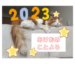 555725203