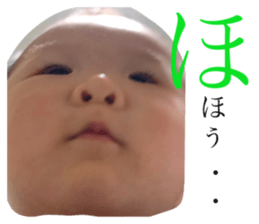 555727524