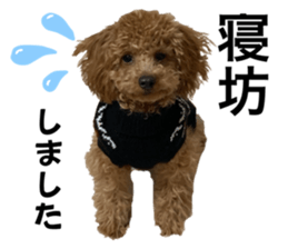 555727579