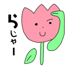 555731452