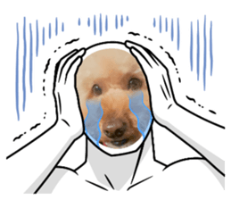 555732861