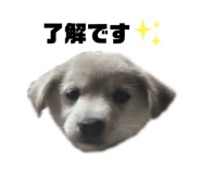 555737726