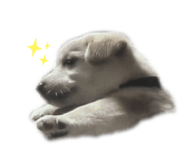 555737730