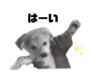 555737731