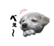 555737734
