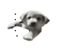 555737735