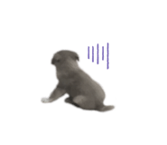 555737736