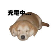 555737740